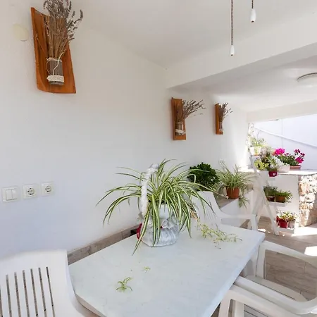 Apartment Strandhaus Vesna Wg 1 *